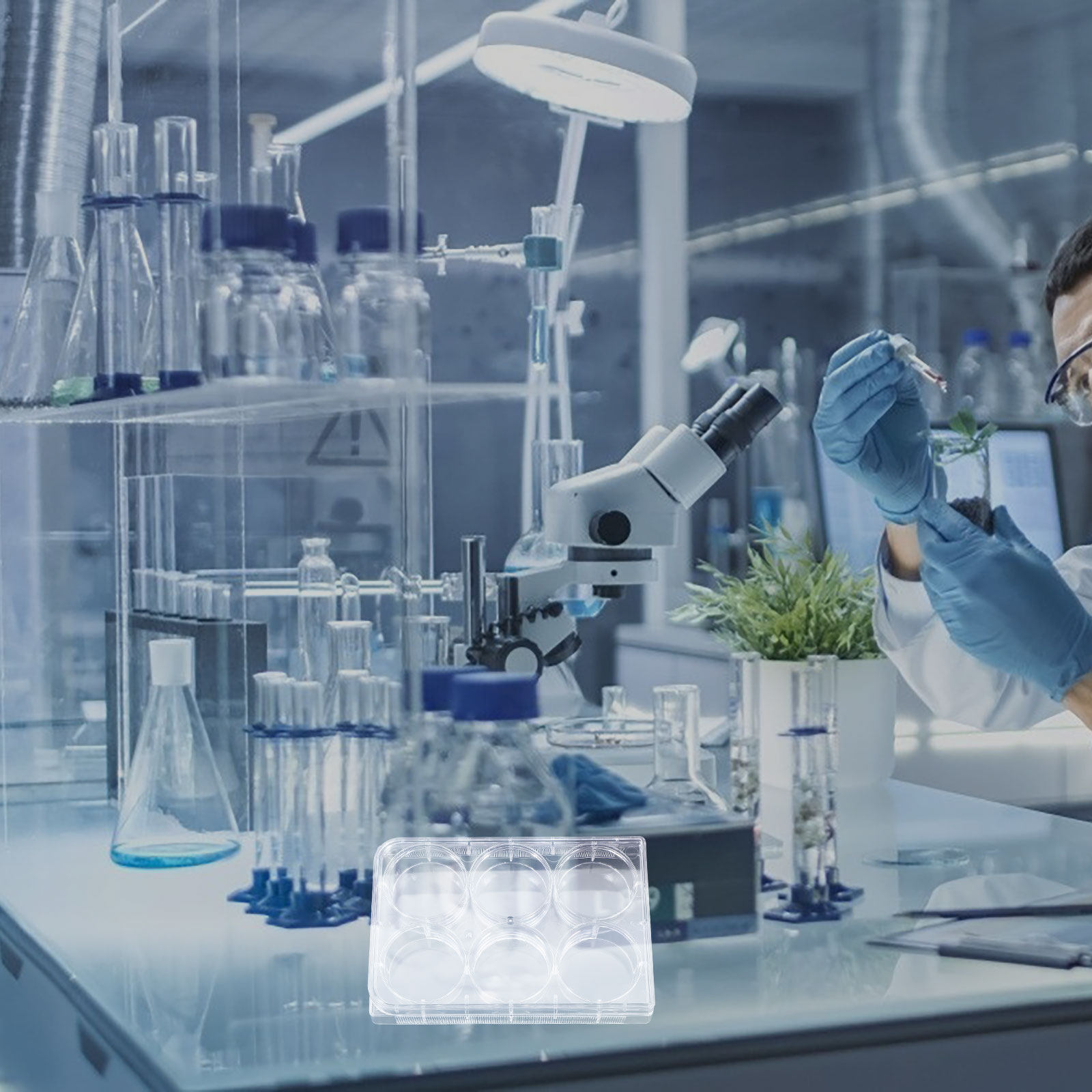 Lab Equipment - Placa de Cultivo de Tejidos de
